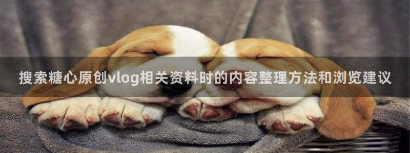 心糖logo官网入口网页