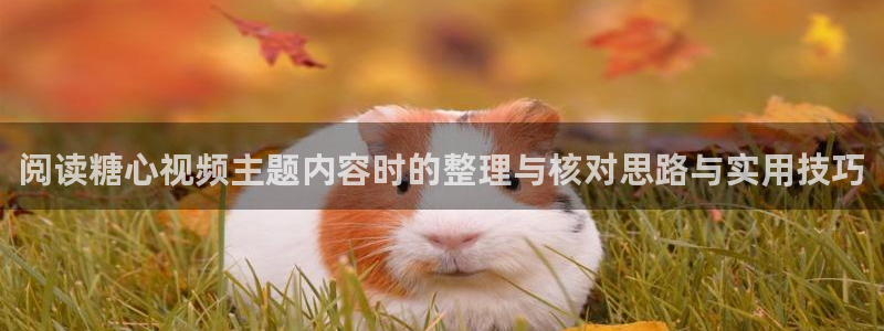 糖心vlog下载入口