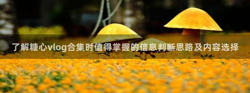 糖心vlog网页
