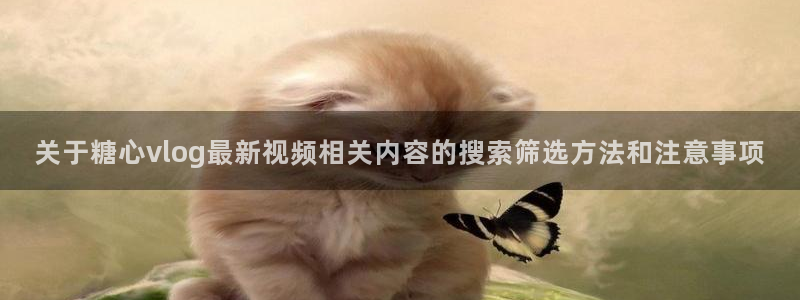 糖心传媒在线