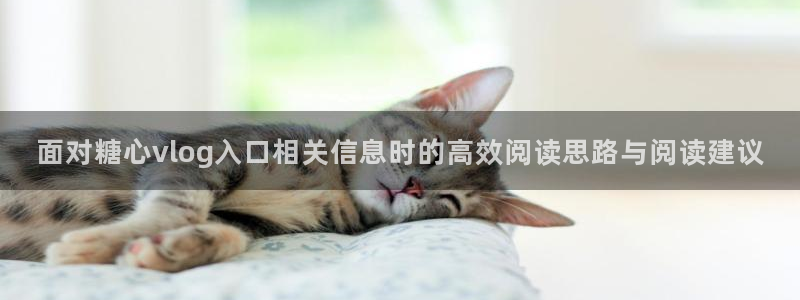 糖心vlog.:面对糖心vlog入口相关信息时的高效阅读思路与阅读建议