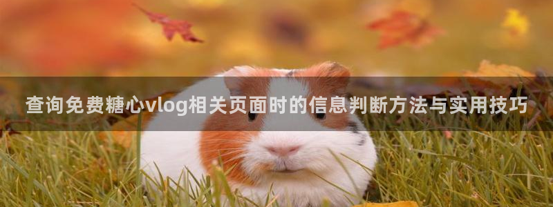 糖心免费看片:查询免费糖心vlog相关页面时的信息判断方法与实用技巧